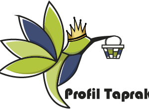 Profil Taprak