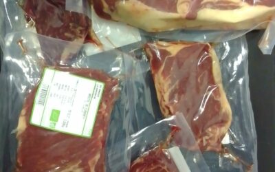SC ANGUS vente directe, la petite Betuisiere, la Garnache