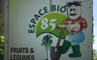 Plein de legumes !!! Espace bio 85, Challans