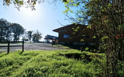 Fromage blanc, Ferme-de-Camille, Saint-Florent-des-Bois