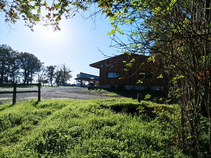 Fromage blanc, Ferme-de-Camille, Saint-Florent-des-Bois