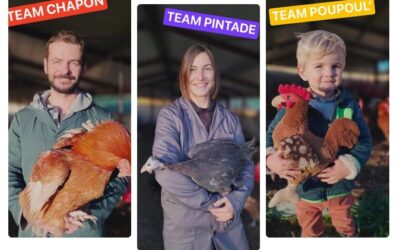 la Ferme en Bocage, volaille de Noël, Les Essarts en Bocage