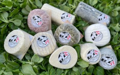 Terre de Vendée 😁😉les fromages de chèvre 🐐 🐐 NOTRE DAME DE RIEZ