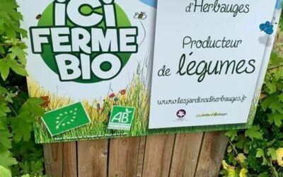 cueillette libre jeudi et vendredi de 14h a 17h, les Herbiers