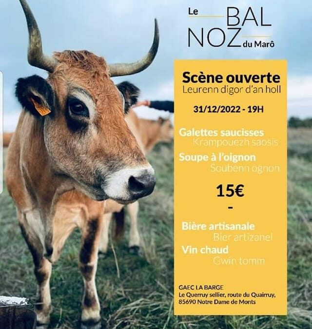 le bal noz à la ferme du Querruy, Notre dame de monts
