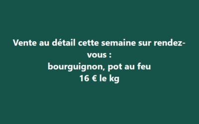 Bichouette , bourguignon, pot au feu, St Hilaire de Talmont