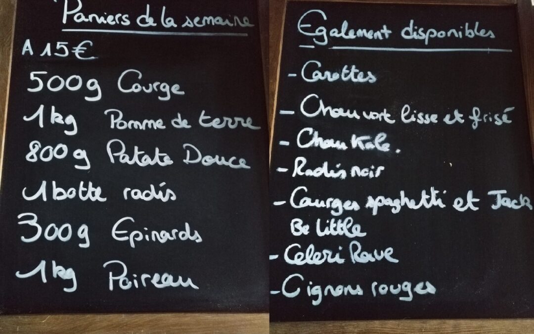 Le bon Maché, panier bio, Maché