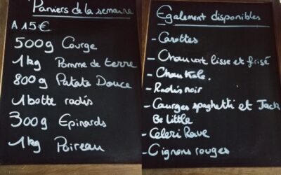 Le bon Maché, panier bio, Maché