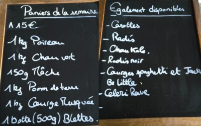 Panier legume, Le bon Maché