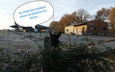 La Ferme de Camille,  fête de mercredi 🤗, Saint-Florent-des-Bois