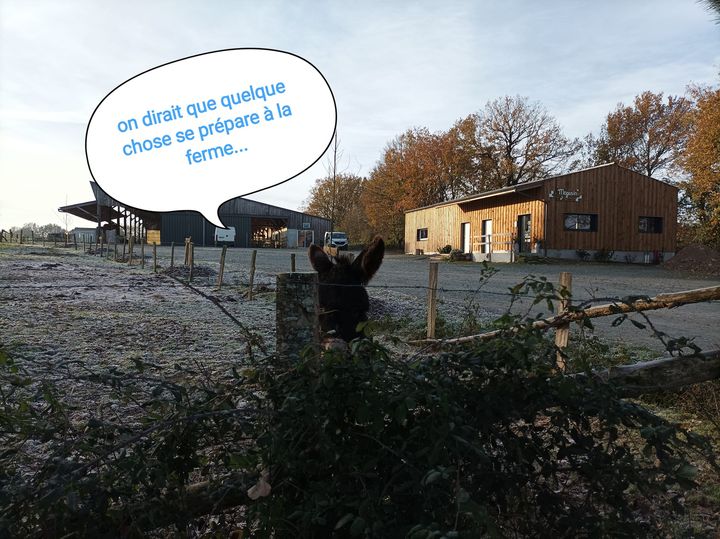 La Ferme de Camille,  fête de mercredi 🤗, Saint-Florent-des-Bois