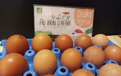 Ferme de camille, oeuf, Saint-Florent-des-Bois