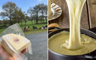 tomme fraîche pour faire de l’aligot, ferme de Camille, Saint Florent des Bois.