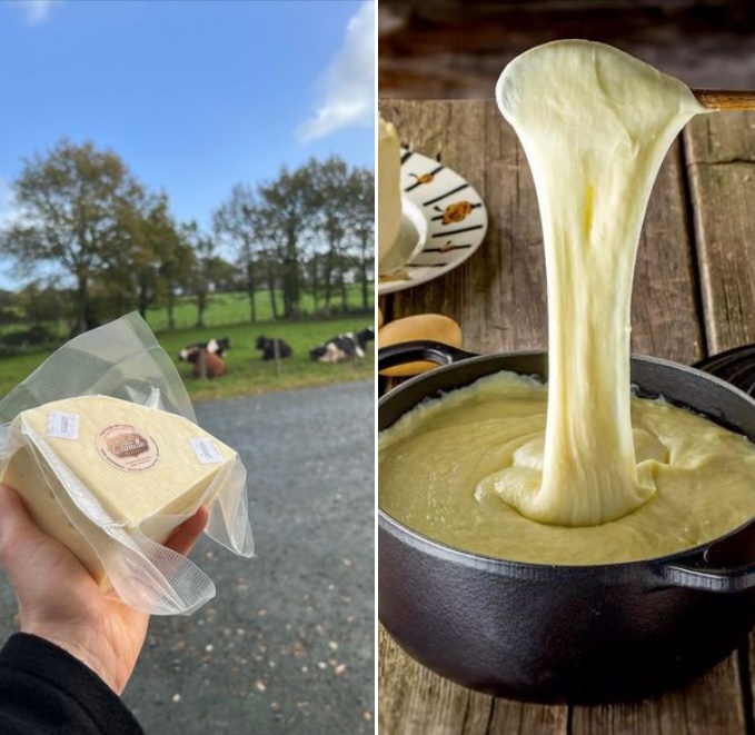 tomme fraîche pour faire de l’aligot, ferme de Camille, Saint Florent des Bois.