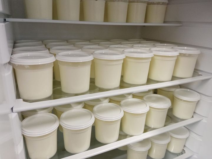yaourts au lait de brebis pasteurisé, Longeron, Cholet