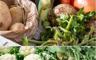 LEGUMES A 1€/KG ET PANIER ANTIGASPI, ferme du petit Pierro, Challans
