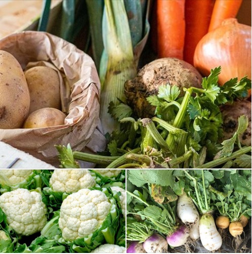 LEGUMES A 1€/KG ET PANIER ANTIGASPI, ferme du petit Pierro, Challans