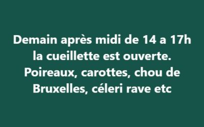 Demain 14h a 17h cueillette ouverte, Jardin d’Herbauges, les Herbiers