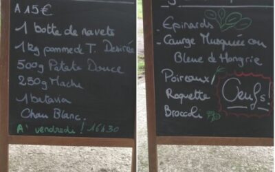Panier de la semaine, le Bon Maché