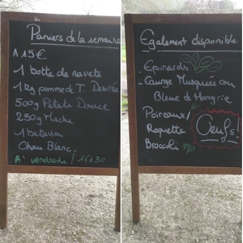 Panier de la semaine, le Bon Maché