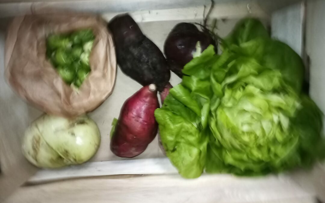Panier de la semaine, Jardins d’herbauge, les Herbiers