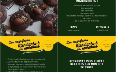 [CONSOMMER LA SPIRULINE], La spiruline de Finfarine