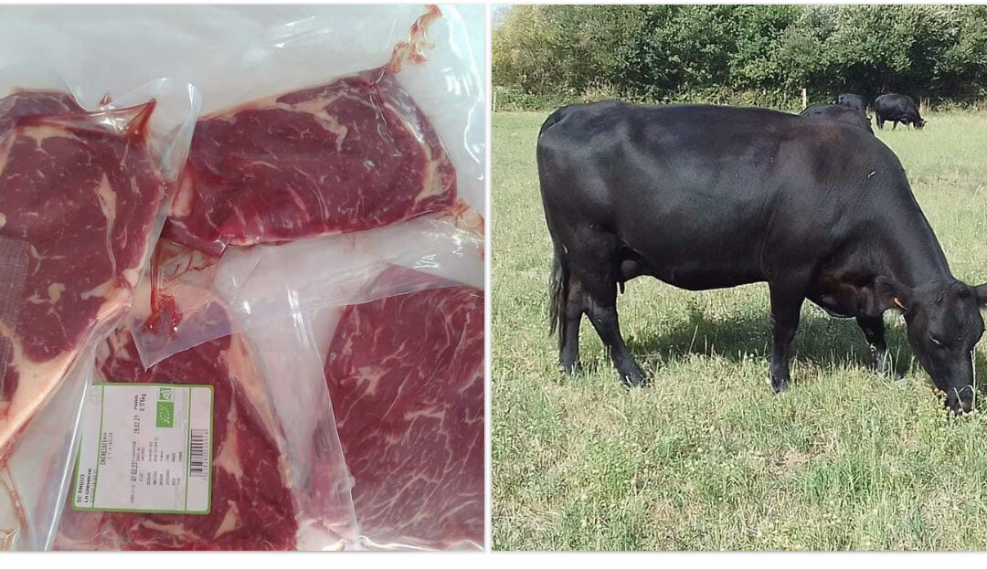 colis de boeuf angus, Challans et la Garnache