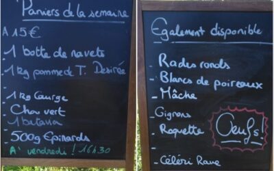Le bon Maché, Panier de la Semaine