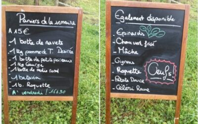 Panier de la Semaine, Le bon Maché