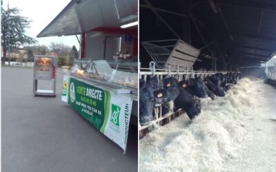 SC ANGUS vente directe