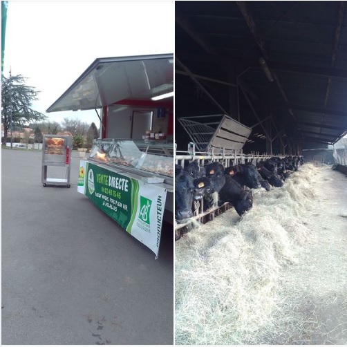 SC ANGUS vente directe