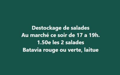 Promo salade, Les Jardins d’Herbauges, Les Herbiers