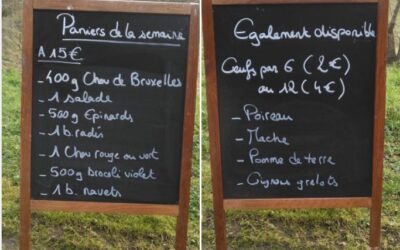 Panier, au Bon Maché