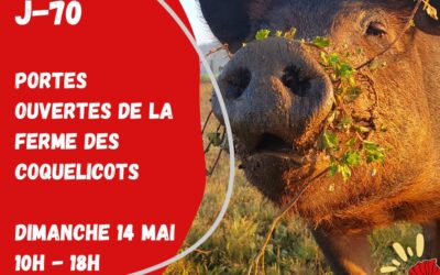 Porte Ouverte, La Ferme des Coquelicots, Rocheserviere