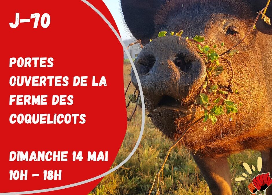 Porte Ouverte, La Ferme des Coquelicots, Rocheserviere