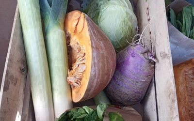 Panier de la semaine, Jardins d’Herbauge, les Herbiers