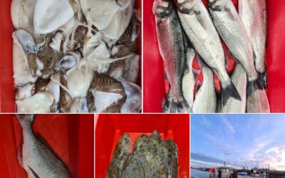 Vente de poissons Port du Bec