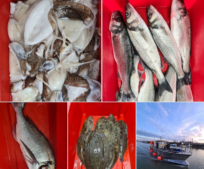 Vente de poissons Port du Bec