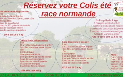 colis été vache normande , La Bichouette, Saint-Hilaire-de-Talmont