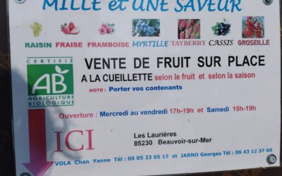 Cueillette et vente sur place, BEAUVOIR SUR MER