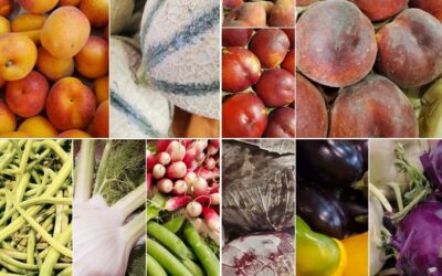 Épicerie BLV : Bio Local Vrac, Fontenay-le-Comte