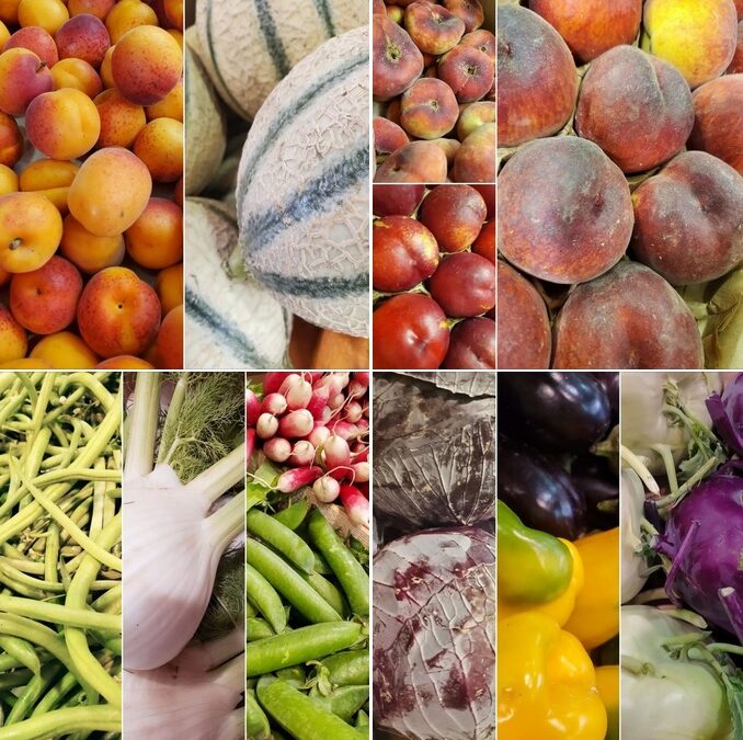 Épicerie BLV : Bio Local Vrac, Fontenay-le-Comte