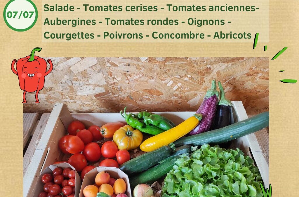 Les Jard’ins de Saint Vincent, St Vincent sur Jard