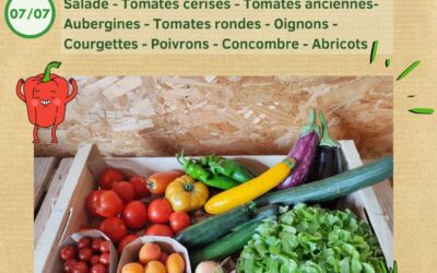 Les Jard’ins de Saint Vincent, St Vincent sur Jard
