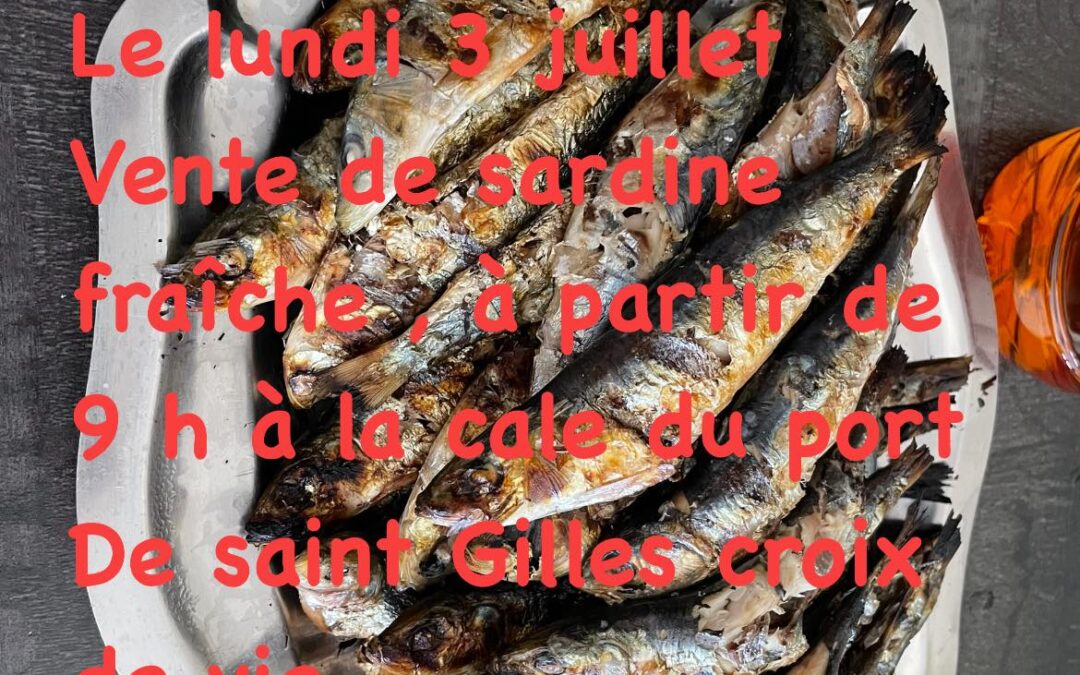 P’TIT LOU, Port de st Gilles