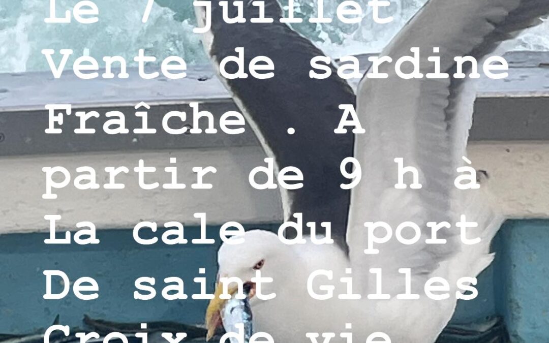 Sardine, P’TIT LOU, St Gille croix de Vie