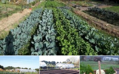 Les Mandalas de Compost’elle – Froidfond-St Christophe du Ligneron