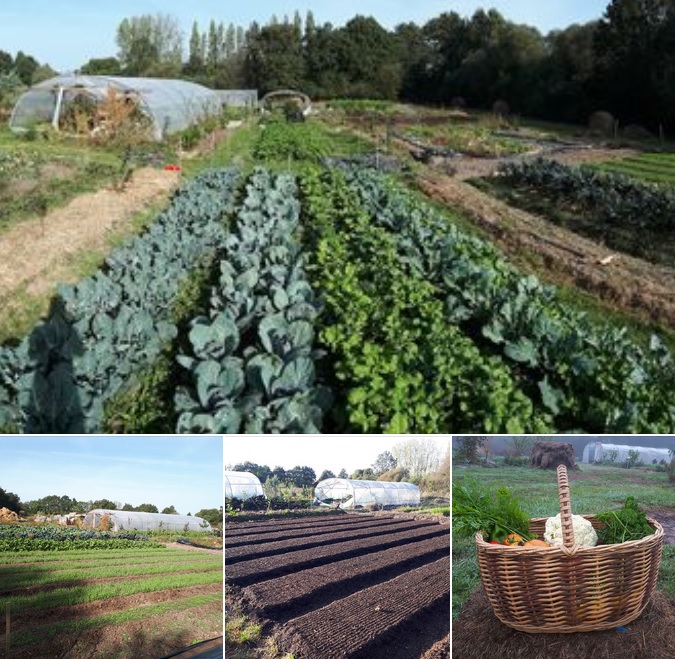 Les Mandalas de Compost’elle – Froidfond-St Christophe du Ligneron