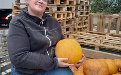 Ferme du petit pierro -citrouille d’halloween offerte – Challans
