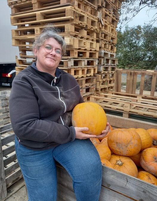 Ferme du petit pierro -citrouille d’halloween offerte – Challans